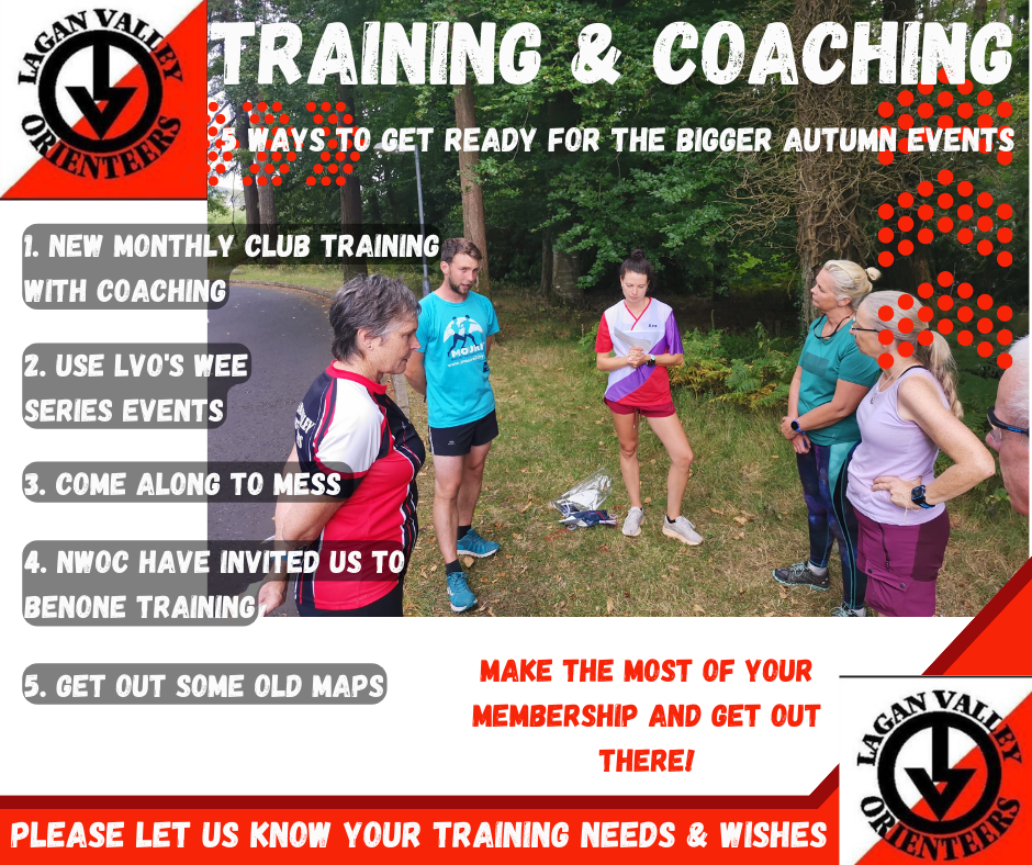 Training & Coaching